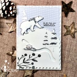 Coffret de tampons Hiver 2023 Sur la Banquise - & Stamp