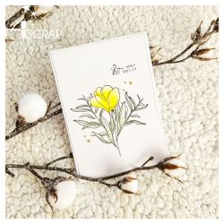 Spring flowers 2 - Clear stamps