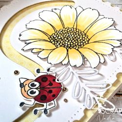 Ladybirds - Cutting Die Scrapbooking