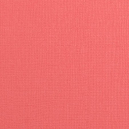 Plain Paper Scrapbooking Card making - Vaessen Anemone