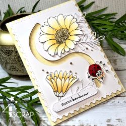 Good luck charm - Clear stamps