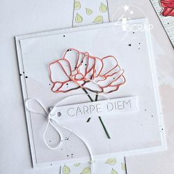 Homes & Co - Die cutting die Homes & Co - Die cutting die