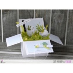 Carte boite pop up Carte boite pop up