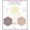 Pack Papier Imprimé Scrapbooking Carterie - Printemps 2018