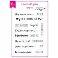 Tampon transparent Scrapbooking Carterie anniversaire - Un an de plus