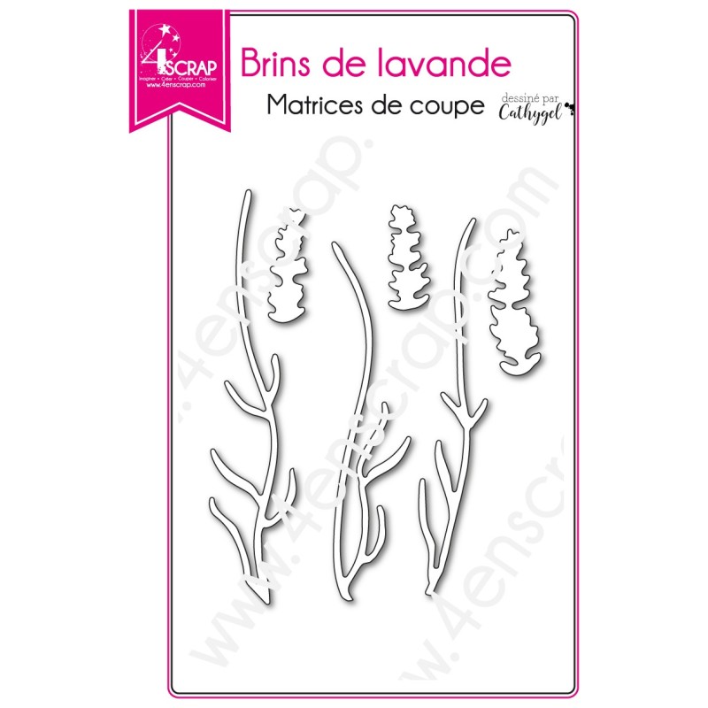 Matrice de coupe Scrapbooking Carterie fleur provence - Brins de lavande Matrice de coupe Scrapbooking Carterie fleur provence - Brins de lavande