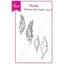 Matrice de coupe Scrapbooking Carterie oiseau - Plumes