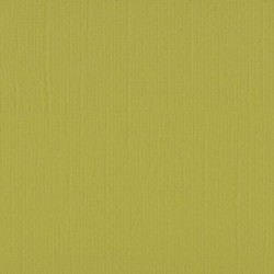 Papier uni Scrapbooking Carterie - Vaessen Mustard