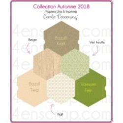 Pack Papier Uni Scrapbooking Carterie - Automne 2018