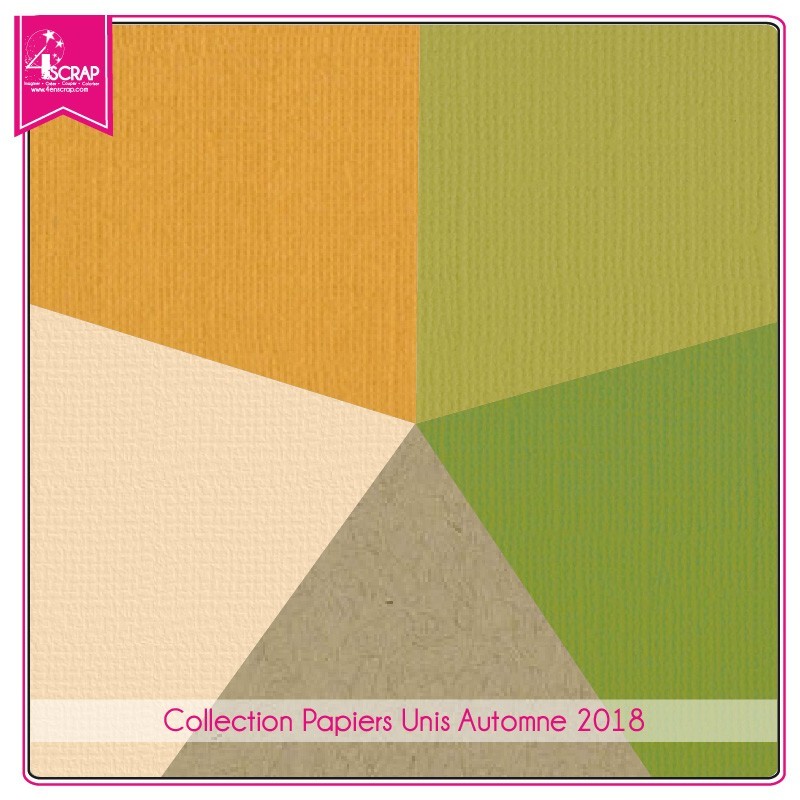 Pack Papier Uni Scrapbooking Carterie - Automne 2018 Pack Papier Uni Scrapbooking Carterie - Automne 2018