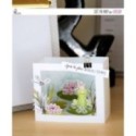 Matrice de coupe Scrapbooking Carterie cadeau home déco - Carte boite cadre