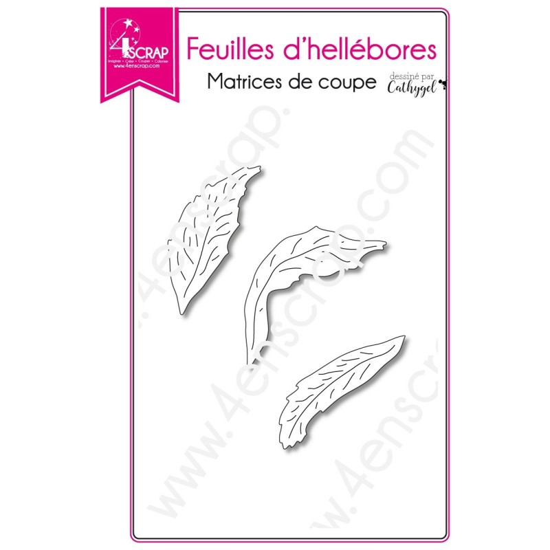 Matrice de coupe Scrapbooking Carterie hiver - Feuilles d'hellébores Matrice de coupe Scrapbooking Carterie hiver - Feuilles d'hellébores