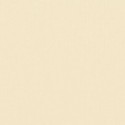 Papier uni Scrapbooking Carterie - Vaessen Raffia