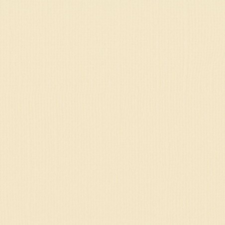 Papier uni Scrapbooking Carterie - Vaessen Raffia