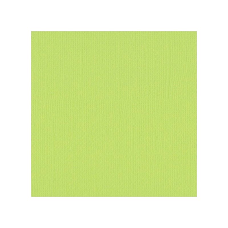 Papier uni Scrapbooking Carterie - Vaessen Pistachio Papier uni Scrapbooking Carterie - Vaessen Pistachio