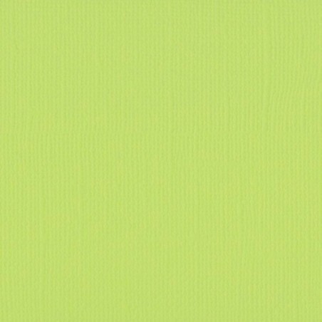 Papier uni Scrapbooking Carterie - Vaessen Pistachio