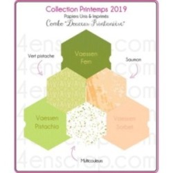 Papier uni Scrapbooking Carterie - Vaessen Pistachio