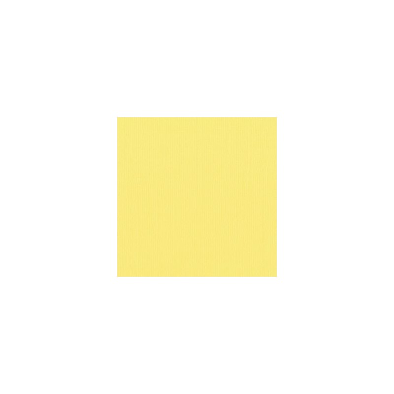 Papier uni Scrapbooking Carterie - Vaessen Asparagus Papier uni Scrapbooking Carterie - Vaessen Asparagus