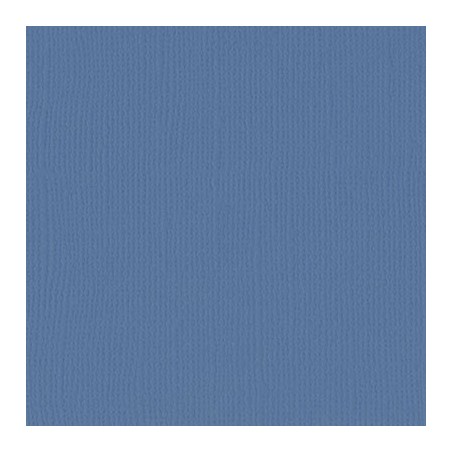 Papier uni Scrapbooking Carterie - Vaessen Steel