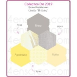 Plain Paper Scrapbooking Card making - Vaessen Raffia