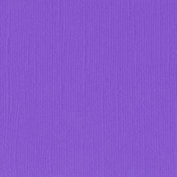 Papier uni Scrapbooking Carterie - Vaessen Violet