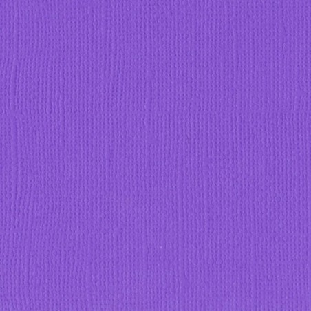 Papier uni Scrapbooking Carterie - Vaessen Violet