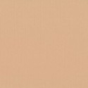 Papier uni Scrapbooking Carterie - Vaessen Parchment