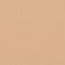 Papier uni Scrapbooking Carterie - Vaessen Parchment