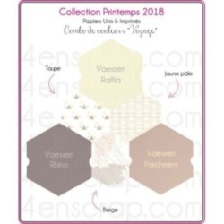 Pack Papier Uni Scrapbooking Carterie - Printemps 2018 Pack Papier Uni Scrapbooking Carterie - Printemps 2018