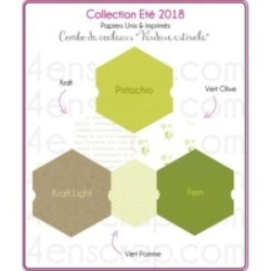 Pack Papier Uni Scrapbooking Carterie - Eté 2018 Pack Papier Uni Scrapbooking Carterie - Eté 2018
