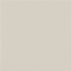 Papier uni Scrapbooking Carterie - Vaessen Mouse