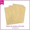 Papier Uni Scrapbooking Carterie - Petit Kraft 10f A4