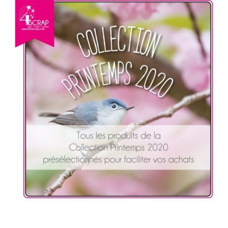 Toute la collection Printemps 20