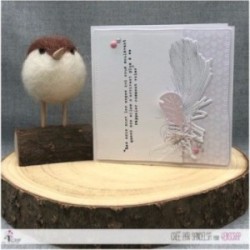 Clear stamp Scrapbooking Card making feathers - Sweat moment