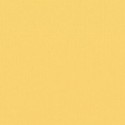 Papier uni Scrapbooking Carterie - Vaessen Anise