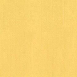 Plain Paper Scrapbooking Card making - Vaessen Anise