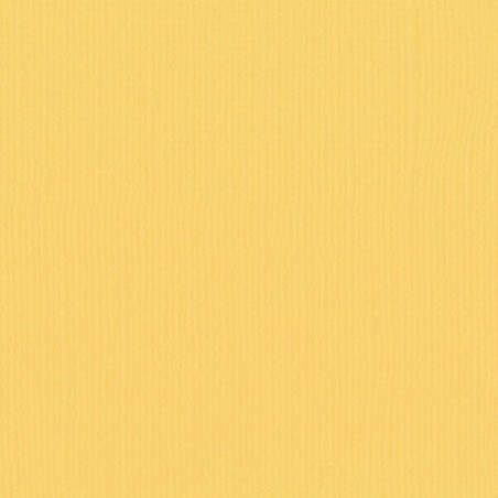 Papier uni Scrapbooking Carterie - Vaessen Anise