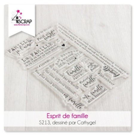 Clear stamp Scrapbooking Card making moment photo - Precious memories