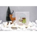 Tampon transparent Scrapbooking Carterie - Best whishes