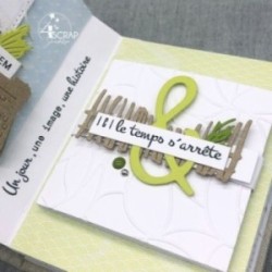 Papier uni Scrapbooking Carterie - Vaessen Pistachio