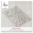 Tampon transparent Scrapbooking Carterie - Pluie et vent