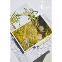 Tampon transparent Scrapbooking Carterie-Fond bois