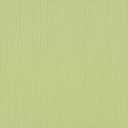 Papier uni vert anise pour créations de scrapbooking et carterie.