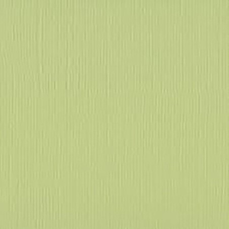 Papier uni vert anise pour créations de scrapbooking et carterie.