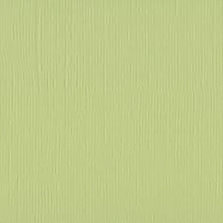 Plain Paper Scrapbooking Card making - Vaessen Anise