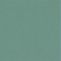 Plain paper Scrapbooking Carterie - Vaessen Clay