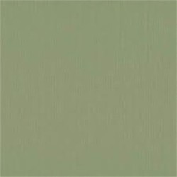 Papier uni acacia vert argile pour créations de scrapbooking et carterie.