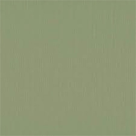 Papier uni acacia vert argile pour créations de scrapbooking et carterie.