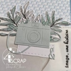 Matrice de coupe Scrapbooking carterie - Appareil photo & Cie