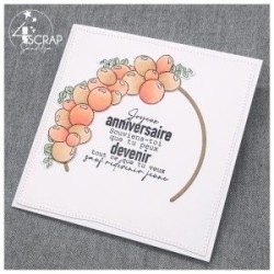 Anniversaire - Tampon transparent Scrapbooking Carterie